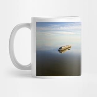 Ocean Rock Mug